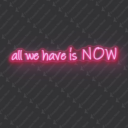 Light Pink All We Have Is NOW Neon Sign