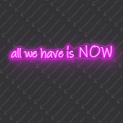 Pink All We Have Is NOW Neon Sign