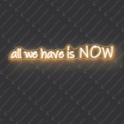 Warm White All We Have Is NOW Neon Sign