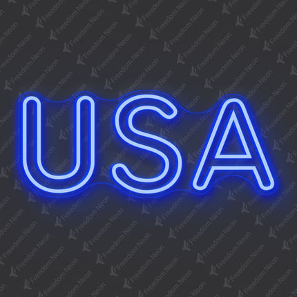 USA Double-Line Neon Sign