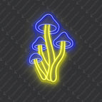 Blue & Yellow / 25