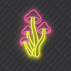 Light Pink & Yellow / 25