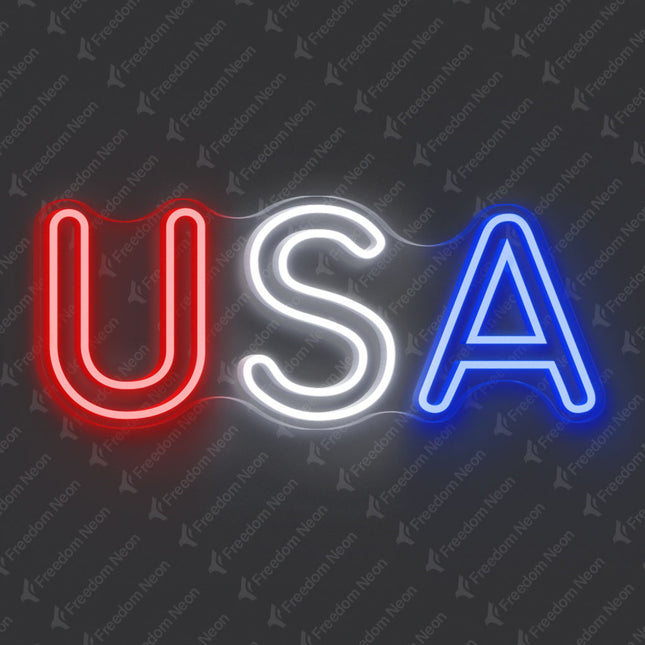 USA Double-Line Neon Sign
