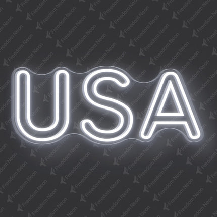 USA Double-Line Neon Sign