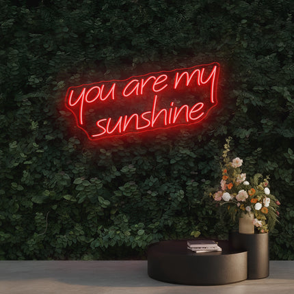 Red You Are My Sunshine Neon Sign
