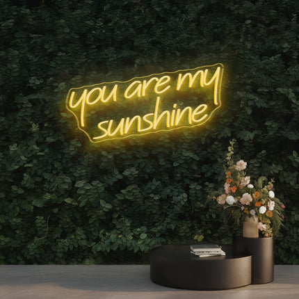 Warm White You Are My Sunshine Neon Sign